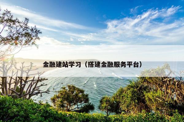 金融建站学习（搭建金融服务平台）-第1张图片-冷动云