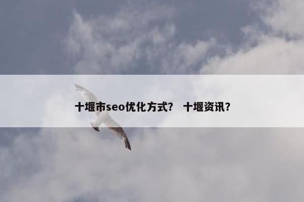 十堰市seo优化方式？ 十堰资讯？-第1张图片-冷动云