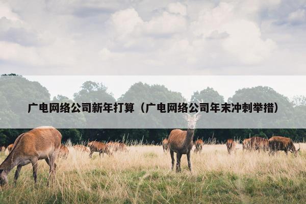 广电网络公司新年打算（广电网络公司年末冲刺举措）-第1张图片-冷动云
