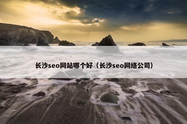 长沙seo网站哪个好（长沙seo网络公司）-第1张图片-冷动云