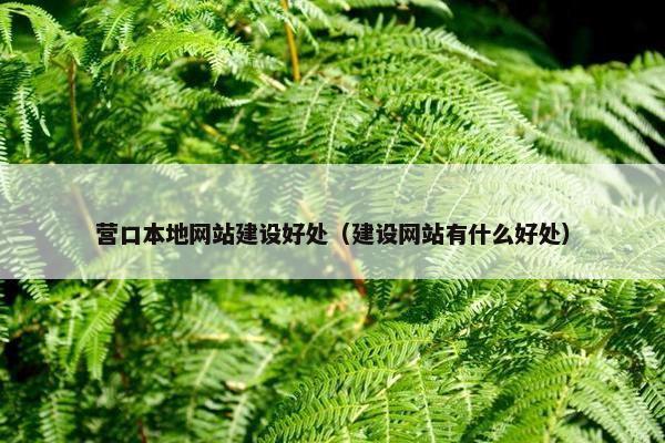 营口本地网站建设好处（建设网站有什么好处）-第1张图片-冷动云