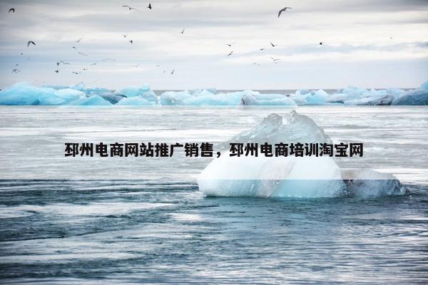 邳州电商网站推广销售，邳州电商培训淘宝网-第1张图片-冷动云