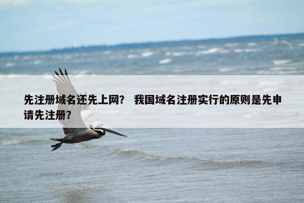 先注册域名还先上网？ 我国域名注册实行的原则是先申请先注册？-第1张图片-冷动云