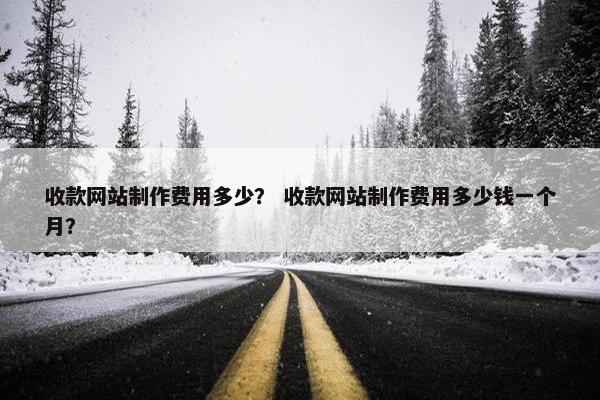 收款网站制作费用多少？ 收款网站制作费用多少钱一个月？-第1张图片-冷动云