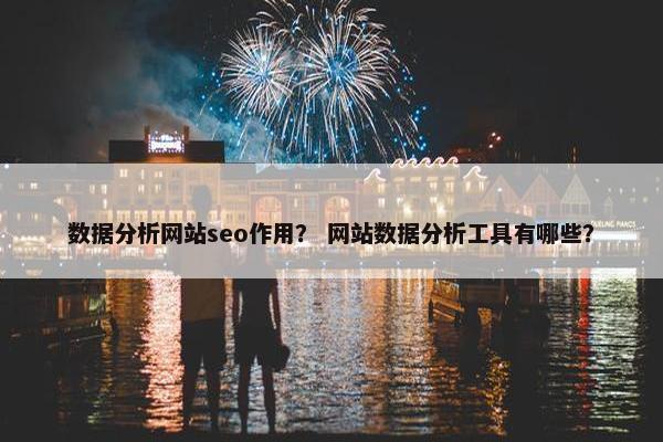 数据分析网站seo作用？ 网站数据分析工具有哪些？-第1张图片-冷动云