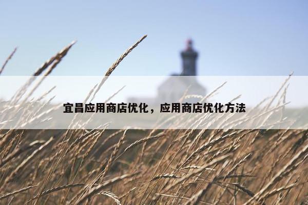 宜昌应用商店优化，应用商店优化方法-第1张图片-冷动云