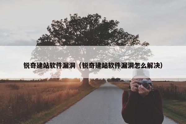 锐奇建站软件漏洞（锐奇建站软件漏洞怎么解决）-第1张图片-冷动云