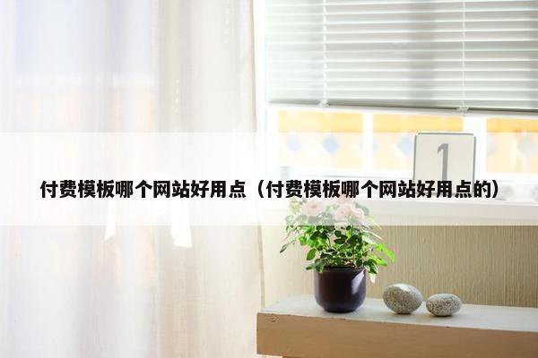 付费模板哪个网站好用点（付费模板哪个网站好用点的）-第1张图片-冷动云