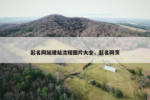 起名网站建站流程图片大全，起名网页-第1张图片-冷动云
