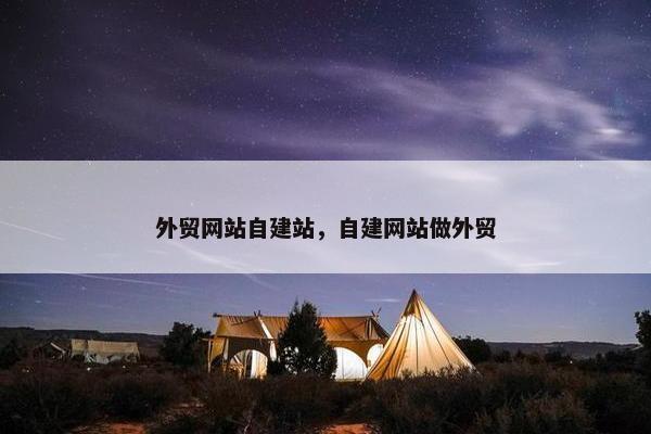 外贸网站自建站，自建网站做外贸-第1张图片-冷动云