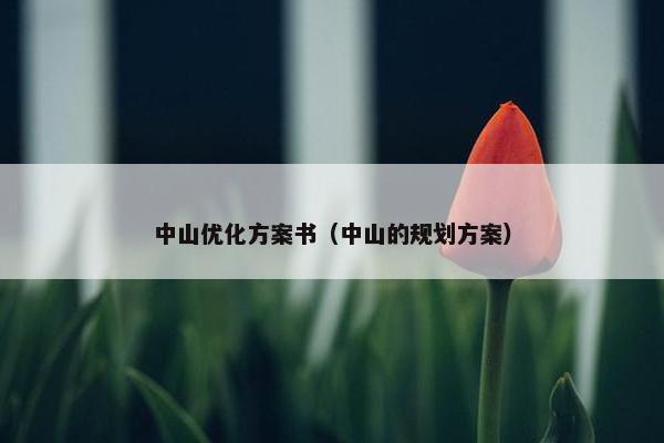 中山优化方案书（中山的规划方案）-第1张图片-冷动云