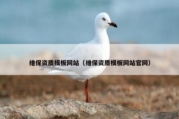 维保资质模板网站（维保资质模板网站官网）-第1张图片-冷动云