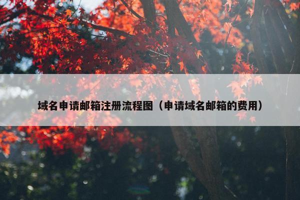 域名申请邮箱注册流程图（申请域名邮箱的费用）-第1张图片-冷动云