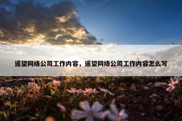 遥望网络公司工作内容，遥望网络公司工作内容怎么写-第1张图片-冷动云