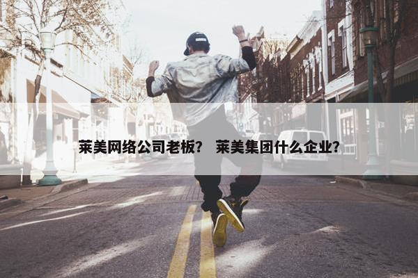 莱美网络公司老板？ 莱美集团什么企业？-第1张图片-冷动云