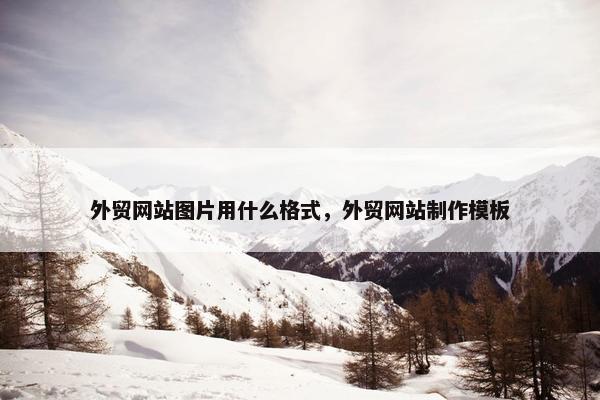 外贸网站图片用什么格式，外贸网站制作模板-第1张图片-冷动云