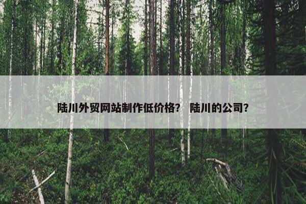 陆川外贸网站制作低价格？ 陆川的公司？-第1张图片-冷动云