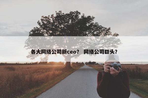 各大网络公司新ceo？ 网络公司巨头？-第1张图片-冷动云
