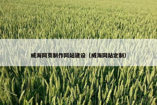 威海网页制作网站建设（威海网站定制）-第1张图片-冷动云