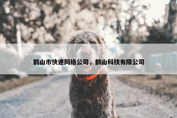 鹤山市快速网络公司，鹤山科技有限公司-第1张图片-冷动云