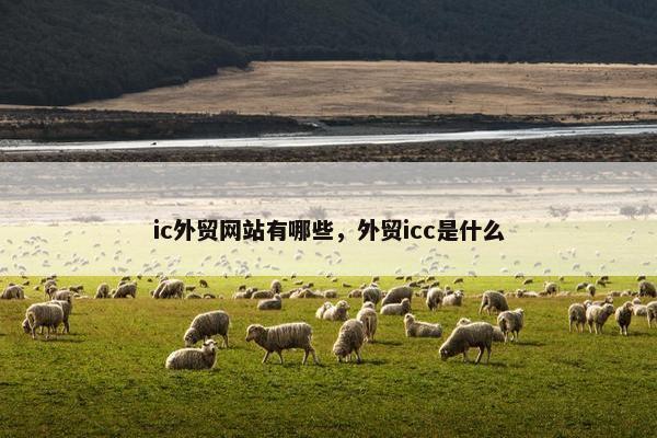 ic外贸网站有哪些，外贸icc是什么-第1张图片-冷动云
