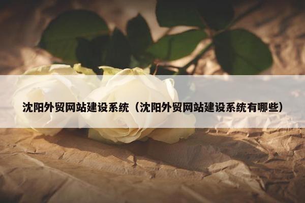 沈阳外贸网站建设系统（沈阳外贸网站建设系统有哪些）-第1张图片-冷动云