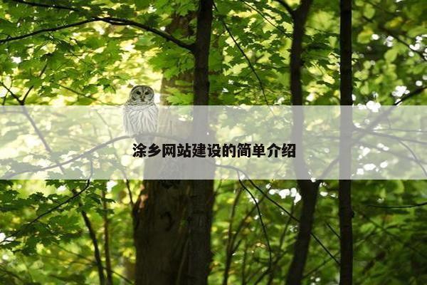 涂乡网站建设的简单介绍-第1张图片-冷动云