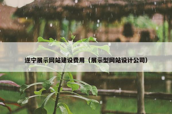遂宁展示网站建设费用（展示型网站设计公司）-第1张图片-冷动云