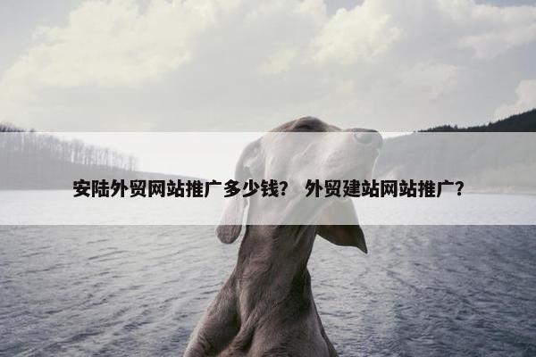 安陆外贸网站推广多少钱？ 外贸建站网站推广？-第1张图片-冷动云