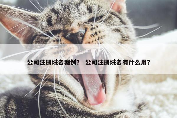 公司注册域名案例？ 公司注册域名有什么用？-第1张图片-冷动云