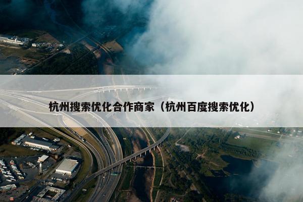 杭州搜索优化合作商家（杭州百度搜索优化）-第1张图片-冷动云