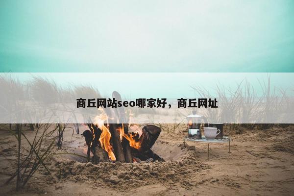 商丘网站seo哪家好，商丘网址-第1张图片-冷动云