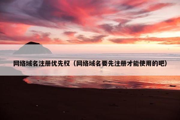 网络域名注册优先权（网络域名要先注册才能使用的吧）-第1张图片-冷动云