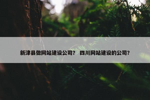 新津县做网站建设公司？ 四川网站建设的公司？-第1张图片-冷动云