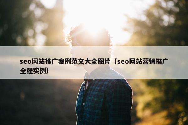 seo网站推广案例范文大全图片（seo网站营销推广全程实例）-第1张图片-冷动云