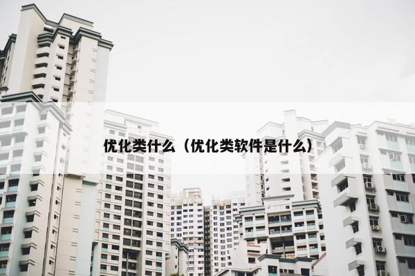 优化类什么（优化类软件是什么）-第1张图片-冷动云