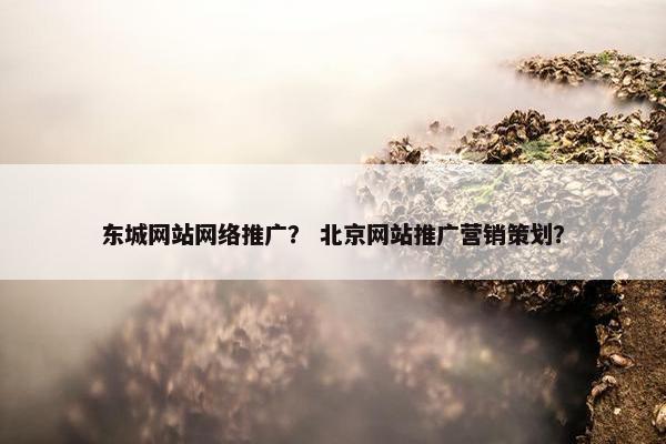 东城网站网络推广？ 北京网站推广营销策划？-第1张图片-冷动云