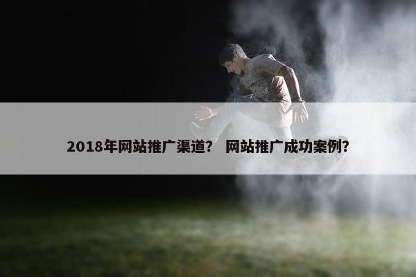 2018年网站推广渠道？ 网站推广成功案例？-第1张图片-冷动云