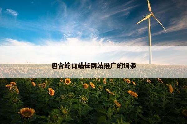 包含蛇口站长网站推广的词条-第1张图片-冷动云