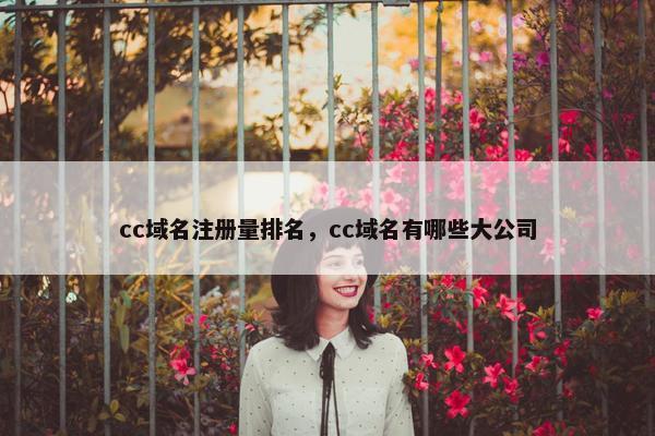 cc域名注册量排名，cc域名有哪些大公司-第1张图片-冷动云