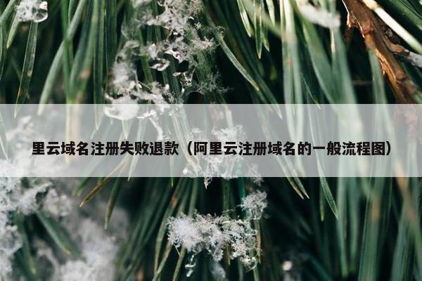 里云域名注册失败退款（阿里云注册域名的一般流程图）-第1张图片-冷动云