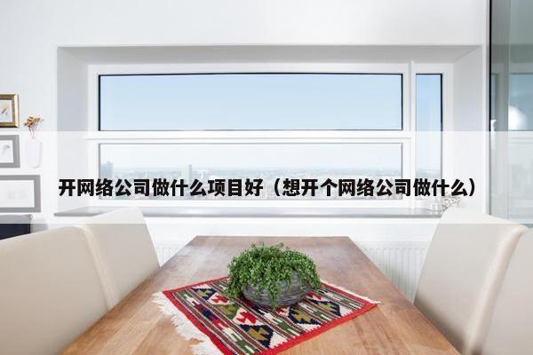 开网络公司做什么项目好（想开个网络公司做什么）-第1张图片-冷动云