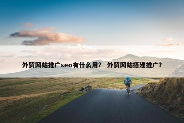外贸网站推广seo有什么用？ 外贸网站搭建推广？-第1张图片-冷动云