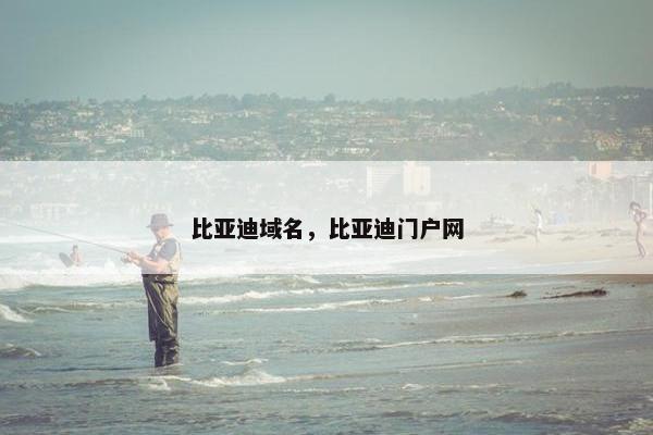 比亚迪域名，比亚迪门户网-第1张图片-冷动云