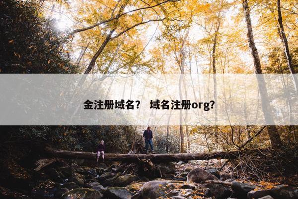 金注册域名？ 域名注册org？-第1张图片-冷动云