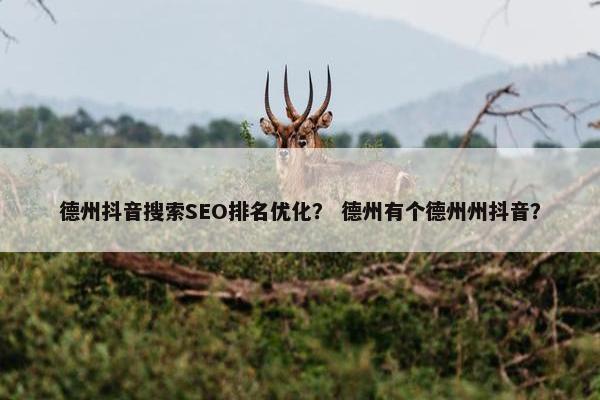 德州抖音搜索SEO排名优化？ 德州有个德州州抖音？-第1张图片-冷动云