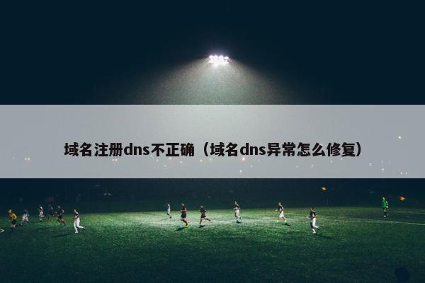 域名注册dns不正确（域名dns异常怎么修复）-第1张图片-冷动云