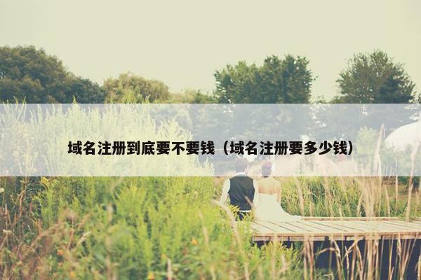 域名注册到底要不要钱（域名注册要多少钱）-第1张图片-冷动云