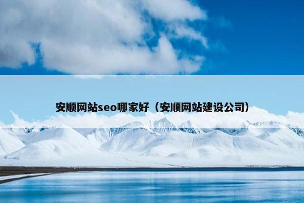 安顺网站seo哪家好（安顺网站建设公司）-第1张图片-冷动云