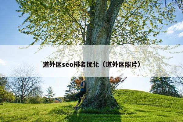 道外区seo排名优化（道外区照片）-第1张图片-冷动云
